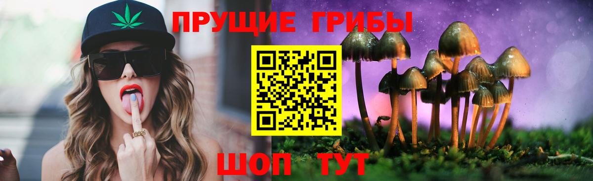 Галлюциногенные грибы GOLDEN TEACHER Камень-на-Оби